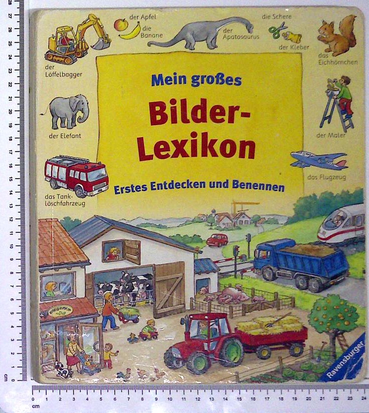Mein  großes Bilder Lexikon : Erstes Entdecken und Benennen