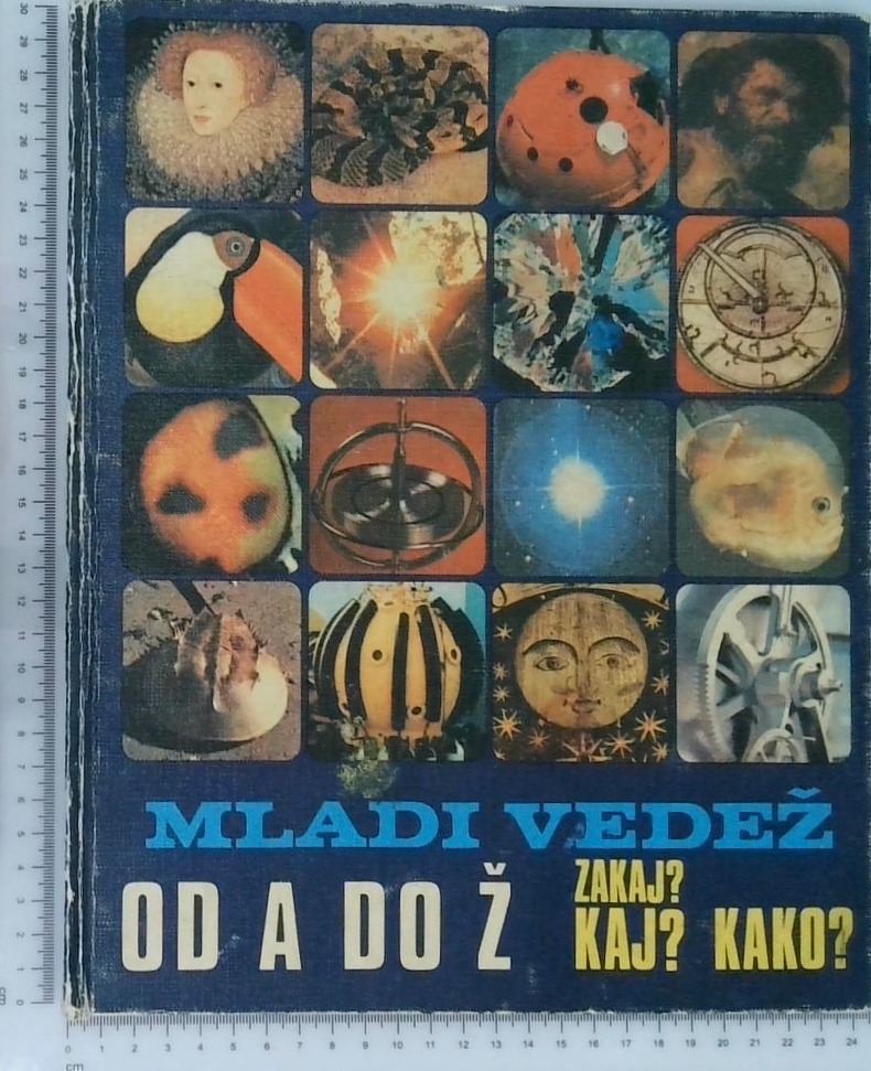 Mladi vedež od A do Ž, zakaj? kaj? kako?