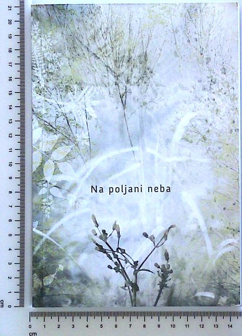 Na poljani neba