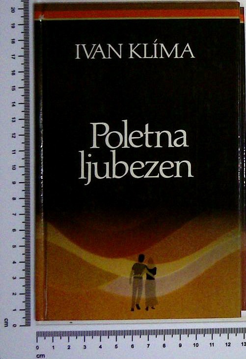 Poletna ljubezen