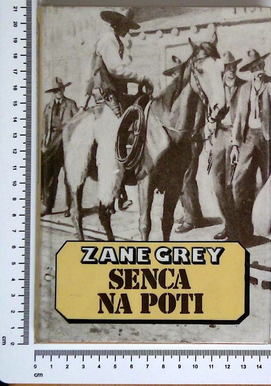 Senca na poti