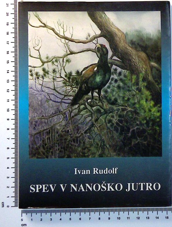 Spev v nanoško jutro