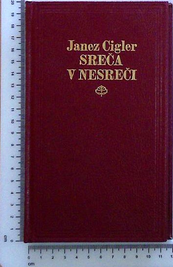 Sreča v nesreči