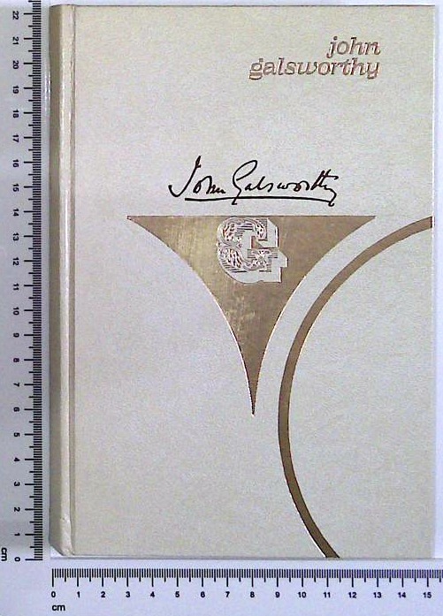 Saga o Forsytih 2
