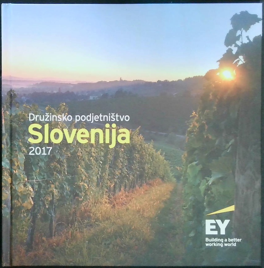 Družinsko podjetništvo Slovenija 2024 - slika 2
