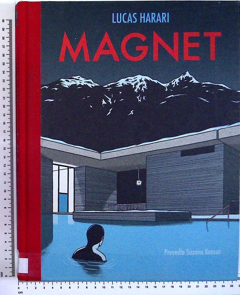 Magnet